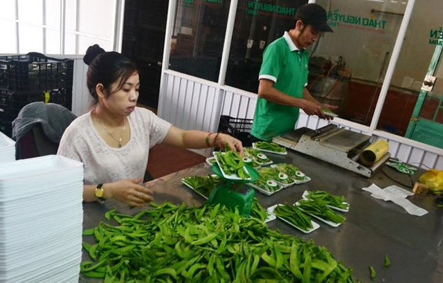 Gắn logo cho rau quả Đà Lạt